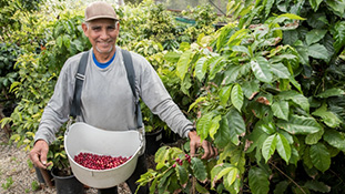 Social Security and Medicare for farmers