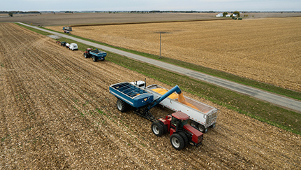 Farmland ownership