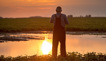 Severe weather, a growing fact of life for agriculture