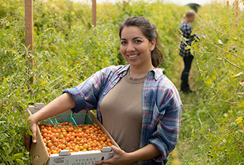 woman farmer standing in a field and holding a box of tomatoes