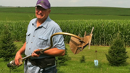 Starting a Christmas tree farm: A successful farmer story