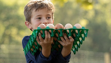 Summer farm safety tips for kids and teens