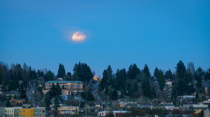 Landscape of Olympia, WA