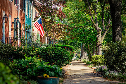 tree-lined sidewalk