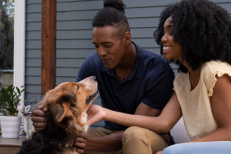 couple petting pet dog