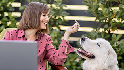 Outdoor privacy and security barriers